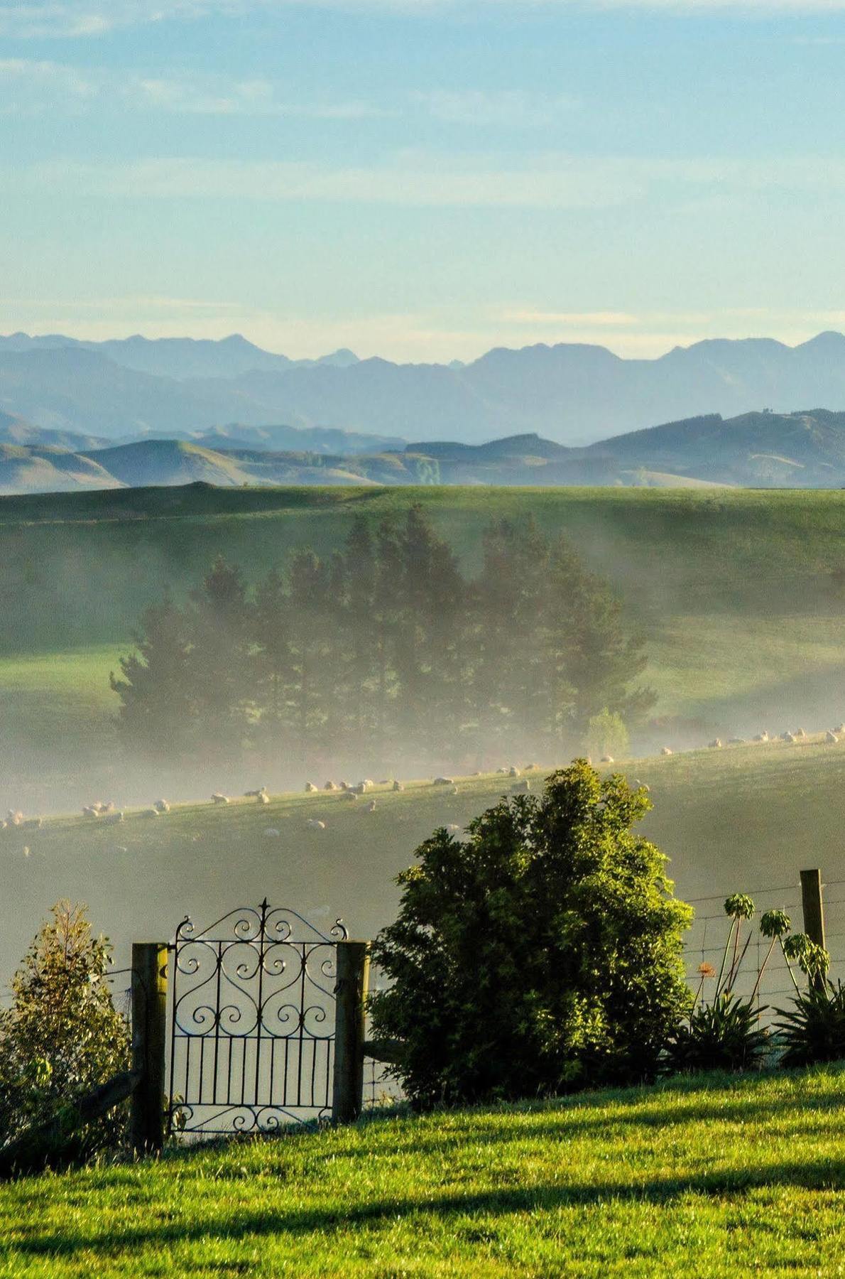 Ribbonwood Country House Cheviot Luaran gambar